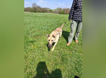 Beethoven: Ode an die Liebe