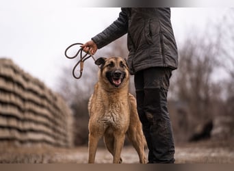Tarik: sehnt sich nach Liebe