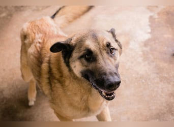 Tarik: sehnt sich nach Liebe