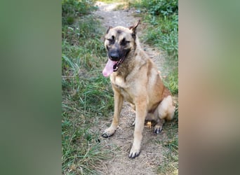 Tarik: sehnt sich nach Liebe