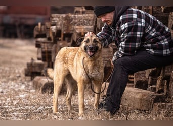 Tarik: sehnt sich nach Liebe