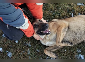 Tarik: sehnt sich nach Liebe