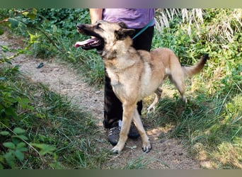 Tarik: sehnt sich nach Liebe