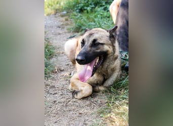 Tarik: sehnt sich nach Liebe