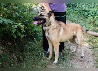 Tarik: sehnt sich nach Liebe