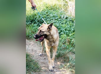 Tarik: sehnt sich nach Liebe