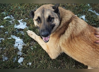 Tarik: sehnt sich nach Liebe