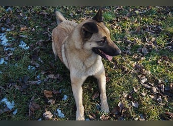 Tarik: sehnt sich nach Liebe