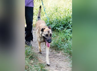 Tarik: sehnt sich nach Liebe