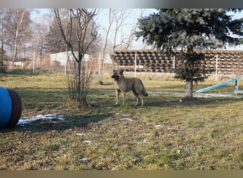 Tarik: sehnt sich nach Liebe