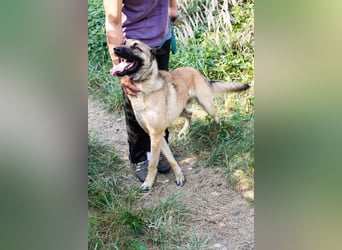 Tarik: sehnt sich nach Liebe