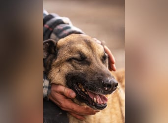 Tarik: sehnt sich nach Liebe