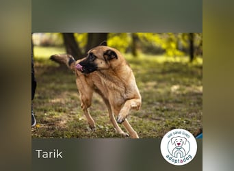 Tarik: sehnt sich nach Liebe