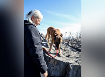 Jerry möchte seinen Ruhestand genießen