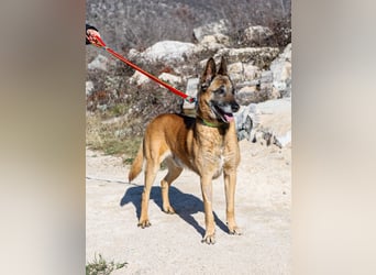 Jerry möchte seinen Ruhestand genießen