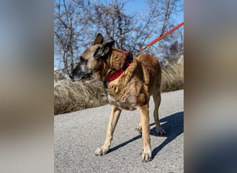 Senior Ben möchte endlich Ankommen