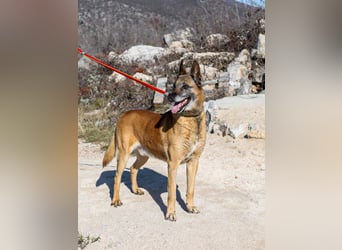 Jerry möchte seinen Ruhestand genießen