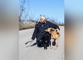 Senior Baks möchte endlich Ankommen