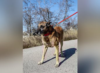 Senior Ben möchte endlich Ankommen
