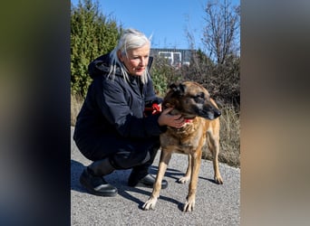 Senior Ben möchte endlich Ankommen