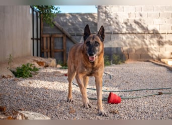 Senior Ben möchte endlich Ankommen