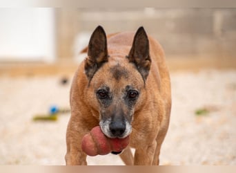 Senior Baks möchte endlich Ankommen