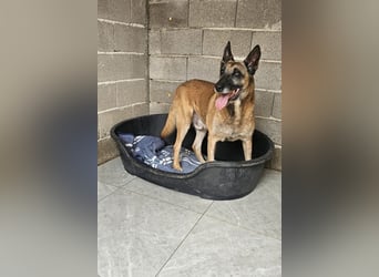 Senior Ben möchte endlich Ankommen