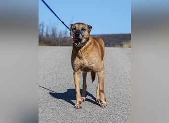 Senior Baks möchte endlich Ankommen