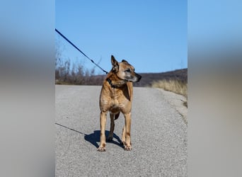 Senior Baks möchte endlich Ankommen