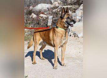 Jerry möchte seinen Ruhestand genießen