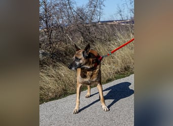 Senior Ben möchte endlich Ankommen