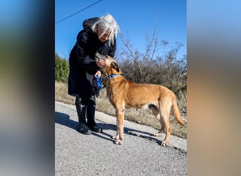 Senior Baks möchte endlich Ankommen