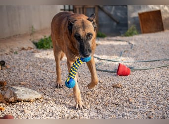 Senior Ben möchte endlich Ankommen