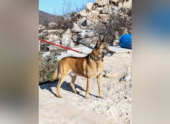 Jerry möchte seinen Ruhestand genießen