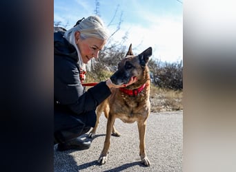 Senior Ben möchte endlich Ankommen