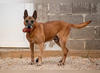 Senior Baks möchte endlich Ankommen