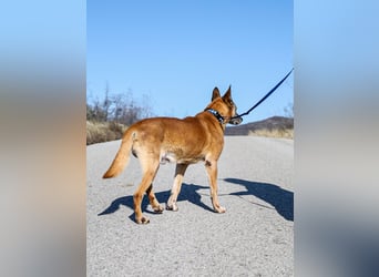 Senior Baks möchte endlich Ankommen