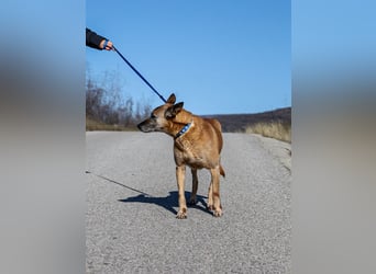 Senior Baks möchte endlich Ankommen