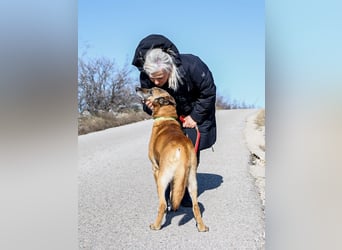 Jerry möchte seinen Ruhestand genießen