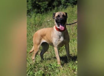 LUNA hat bereits Familienerfahrung