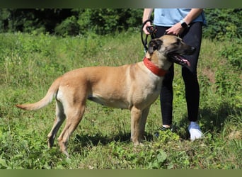 LUNA hat bereits Familienerfahrung