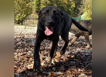 Stella, ein winziges zartes sanftes Wesen