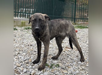Stella, ein winziges zartes sanftes Wesen