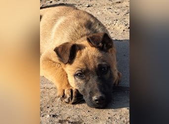 Kleine Freya ( * 01/2026 ) sucht ihre Familie