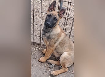 Kleine Freya ( * 01/2026 ) sucht ihre Familie