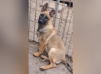 Kleine Freya ( * 01/2026 ) sucht ihre Familie