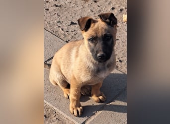 Kleine Freya ( * 01/2026 ) sucht ihre Familie