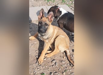 Kleine Freya ( * 01/2026 ) sucht ihre Familie