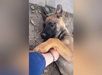 Kleine Freya ( * 01/2026 ) sucht ihre Familie