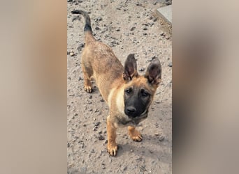 Kleine Freya ( * 01/2026 ) sucht ihre Familie